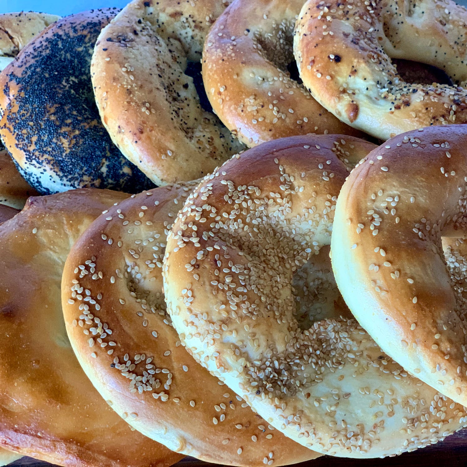 Flat New York-Style Bagels